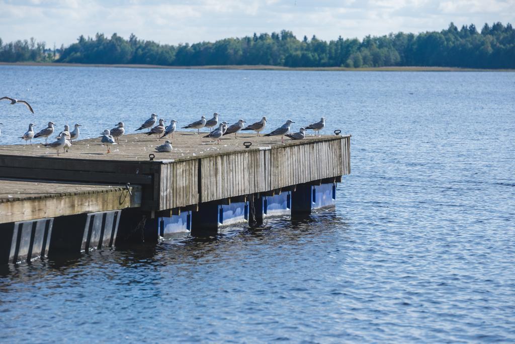 Mokko Lakehouse Kuremaa Exterior photo